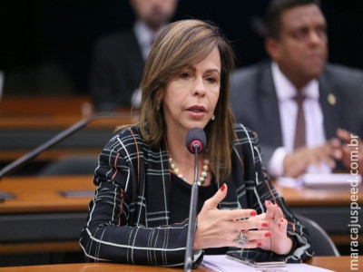 Câmara lança cartilha para ajudar candidaturas de mulheres nas eleições de 2020