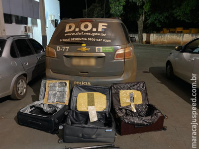 Distrito Vista Alegre: Casal que seguia com droga para Goiânia foi preso pelo DOF durante a Operação Hórus