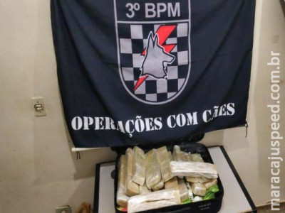 Adolescente de 14 anos é apreendida tentando levar maconha para SC Adolescente de 14 anos é apreendida tentando levar maconha para SC