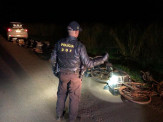 Bicicletas carregadas com quase meia tonelada de maconha foram apreendidas pelo DOF durante a Operação Hórus Bicicletas carregadas com quase meia tonelada de maconha foram apreendidas pelo DOF durante a Operação Hórus