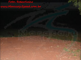 Animais silvestres são flagrados em área do centro e bairro de Maracaju