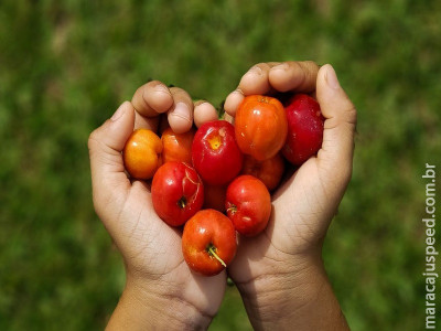 Cerrado: brincar na natureza traz benefícios para a saúde das crianças Cerrado: brincar na natureza traz benefícios para a saúde das crianças