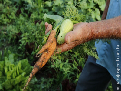 Governo repassa R$ 72,9 milhões a estados para a agricultura familiar Governo repassa R$ 72,9 milhões a estados para a agricultura familiar