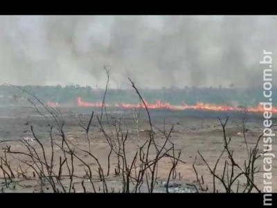 Sul-mato-grossense, Luan Santana fará live no Pantanal para denunciar queimadas