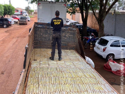 Caminhão com mais de mil e oitocentos quilos de maconha foi apreendido pelo DOF, na Rodovia MS-164 que liga Ponta Porã/Vista Alegre