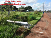 Maracaju: Condutor embriagado destrói veículo e poste de rede elétrica na Rua Joaquim Ferreira de Azambuja