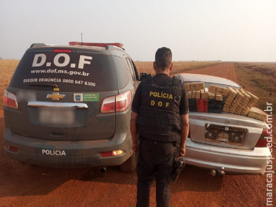Maracaju: Veículo que seguia para Campo Grande com mais de 360 quilos de maconha foi apreendido pelo DOF