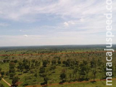 Fazendeiro é multado em R$ 25 mil por desmatamento ilegal de vegetação