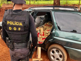 Maracaju: Veículo com quase meia tonelada de maconha foi apreendido pelo DOF