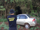 Maracaju: Drogas, arma de fogo, munições, veículo recuperado e carga de cigarros apreendidos pelo DOF durante a Operação Hórus
