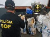 Maracaju: Veículo capotado com mais de meia tonelada de maconha foi apreendido pelo DOF