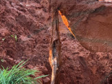 Maracaju: Homem encontrado enterrado em fossa, foi morto a golpe de machado