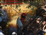 Maracaju: Condutor conduzindo caminhonete Triton na estrada da “Picadinha”, cai em leito do Córrego Sete Volta