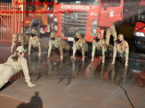 13º Subgrupamento de Bombeiros Militar Independente em Maracaju recebeu nesta segunda-feira (24), seis soldados recém formados do concurso do Corpo de Bombeiros realizado em 2018 13º Subgrupamento de Bombeiros Militar Independente em Maracaju recebeu nesta segunda-feira (24), seis soldados recém formados do concurso do Corpo de Bombeiros realizado em 2018