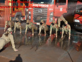 13º Subgrupamento de Bombeiros Militar Independente em Maracaju recebeu nesta segunda-feira (24), seis soldados recém formados do concurso do Corpo de Bombeiros realizado em 2018 13º Subgrupamento de Bombeiros Militar Independente em Maracaju recebeu nesta segunda-feira (24), seis soldados recém formados do concurso do Corpo de Bombeiros realizado em 2018