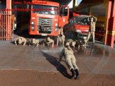 13º Subgrupamento de Bombeiros Militar Independente em Maracaju recebeu nesta segunda-feira (24), seis soldados recém formados do concurso do Corpo de Bombeiros realizado em 2018 13º Subgrupamento de Bombeiros Militar Independente em Maracaju recebeu nesta segunda-feira (24), seis soldados recém formados do concurso do Corpo de Bombeiros realizado em 2018