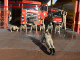 13º Subgrupamento de Bombeiros Militar Independente em Maracaju recebeu nesta segunda-feira (24), seis soldados recém formados do concurso do Corpo de Bombeiros realizado em 2018 13º Subgrupamento de Bombeiros Militar Independente em Maracaju recebeu nesta segunda-feira (24), seis soldados recém formados do concurso do Corpo de Bombeiros realizado em 2018
