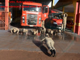 13º Subgrupamento de Bombeiros Militar Independente em Maracaju recebeu nesta segunda-feira (24), seis soldados recém formados do concurso do Corpo de Bombeiros realizado em 2018 13º Subgrupamento de Bombeiros Militar Independente em Maracaju recebeu nesta segunda-feira (24), seis soldados recém formados do concurso do Corpo de Bombeiros realizado em 2018