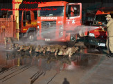 13º Subgrupamento de Bombeiros Militar Independente em Maracaju recebeu nesta segunda-feira (24), seis soldados recém formados do concurso do Corpo de Bombeiros realizado em 2018 13º Subgrupamento de Bombeiros Militar Independente em Maracaju recebeu nesta segunda-feira (24), seis soldados recém formados do concurso do Corpo de Bombeiros realizado em 2018