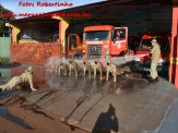 13º Subgrupamento de Bombeiros Militar Independente em Maracaju recebeu nesta segunda-feira (24), seis soldados recém formados do concurso do Corpo de Bombeiros realizado em 2018 13º Subgrupamento de Bombeiros Militar Independente em Maracaju recebeu nesta segunda-feira (24), seis soldados recém formados do concurso do Corpo de Bombeiros realizado em 2018