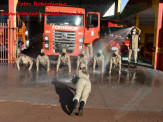 13º Subgrupamento de Bombeiros Militar Independente em Maracaju recebeu nesta segunda-feira (24), seis soldados recém formados do concurso do Corpo de Bombeiros realizado em 2018 13º Subgrupamento de Bombeiros Militar Independente em Maracaju recebeu nesta segunda-feira (24), seis soldados recém formados do concurso do Corpo de Bombeiros realizado em 2018