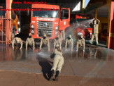 13º Subgrupamento de Bombeiros Militar Independente em Maracaju recebeu nesta segunda-feira (24), seis soldados recém formados do concurso do Corpo de Bombeiros realizado em 2018 13º Subgrupamento de Bombeiros Militar Independente em Maracaju recebeu nesta segunda-feira (24), seis soldados recém formados do concurso do Corpo de Bombeiros realizado em 2018