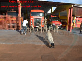13º Subgrupamento de Bombeiros Militar Independente em Maracaju recebeu nesta segunda-feira (24), seis soldados recém formados do concurso do Corpo de Bombeiros realizado em 2018 13º Subgrupamento de Bombeiros Militar Independente em Maracaju recebeu nesta segunda-feira (24), seis soldados recém formados do concurso do Corpo de Bombeiros realizado em 2018