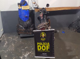 Maracaju: Motocicleta furtada em Campo Grande foi recuperada pelo DOF carregada com maconha Maracaju: Motocicleta furtada em Campo Grande foi recuperada pelo DOF carregada com maconha
