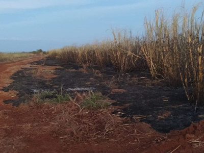Empreiteira é multada em R$ 1,47 milhão por incêndio em 1.470 hectares de cana-de-açúcar