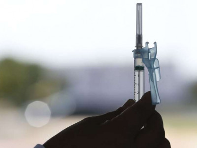 Senado aprova que indústria veterinária possa produzir vacina humana Senado aprova que indústria veterinária possa produzir vacina humana