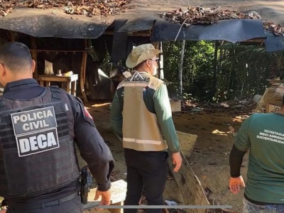 Comissão aprova projeto que autoriza criação de delegacia eletrônica do meio ambiente Comissão aprova projeto que autoriza criação de delegacia eletrônica do meio ambiente