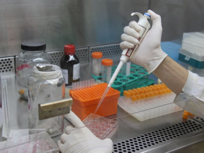 Covid-19: pesquisadores criam teste barato para unidades de saúde Covid-19: pesquisadores criam teste barato para unidades de saúde