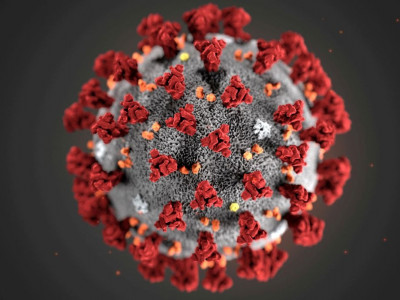 Fiocruz: estudo sugere que variante Delta pode causar mais reinfecções Fiocruz: estudo sugere que variante Delta pode causar mais reinfecções
