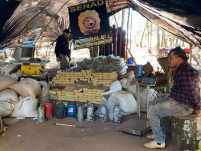 Polícia paraguaia destrói acampamentos e 7,4 toneladas de maconha  Polícia paraguaia destrói acampamentos e 7,4 toneladas de maconha