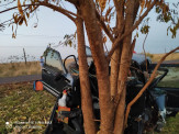 Maracaju: Corpo de bombeiros atende ocorrência de colisão de veículo de em árvore na BR-267