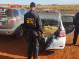 Maracaju: Drogas, armas de fogo, munições, veículos furtados e drone foram apreendidos pelo DOF no final de semana durante a Operação Hórus