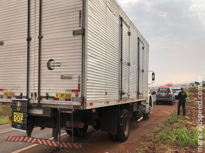 Caminhão com mais de 400 Kg de maconha escondidos entre sementes de girassol foi apreendido pelo DOF durante a Operação Hórus