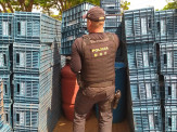 Caminhão com mais de 900 quilos de maconha foi apreendido pelo DOF durante a Operação Hórus Caminhão com mais de 900 quilos de maconha foi apreendido pelo DOF durante a Operação Hórus