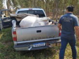 Polícia civil de Jardim prende suspeitos de comercializar carne ilegal Polícia civil de Jardim prende suspeitos de comercializar carne ilegal