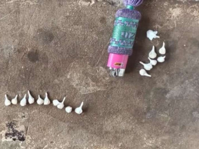 Polícia flagra jovem e adolescente que comercializavam pasta base Polícia flagra jovem e adolescente que comercializavam pasta base