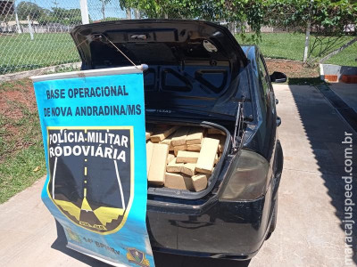 POLÍCIA MILITAR RODOVIÁRIA APRENDE 335 QUILOS DE MACONHA OPERAÇÃO HÓRUS POLÍCIA MILITAR RODOVIÁRIA APRENDE 335 QUILOS DE MACONHA OPERAÇÃO HÓRUS