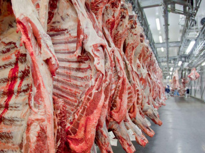 Preços da carne voltam a cair; confira os destaques desta quinta-feira  Preços da carne voltam a cair; confira os destaques desta quinta-feira