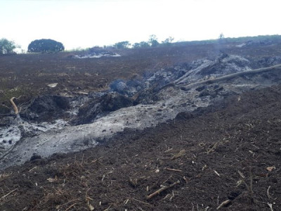 Proprietário rural é multado por queima controlada que está proibida Proprietário rural é multado por queima controlada que está proibida