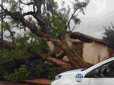 Tempestade com granizo derruba árvores, postes e deixa moradores sem energia há 48h em Três Lagoas