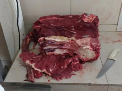 Autoridades apreendem uma tonelada de carne imprópria para consumo Autoridades apreendem uma tonelada de carne imprópria para consumo