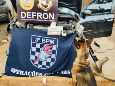 Cães policiais auxiliam em apreensão de 15 quilos de cocaína durante abordagem Cães policiais auxiliam em apreensão de 15 quilos de cocaína durante abordagem