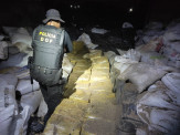 Mil e setecentos quilos de maconha foram apreendidos pelo DOF escondidos entre sacos de ração durante Operação Hórus Mil e setecentos quilos de maconha foram apreendidos pelo DOF escondidos entre sacos de ração durante Operação Hórus