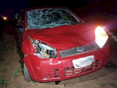 Passageira é socorrida após motorista colidir contra vaca em Ivinhema Passageira é socorrida após motorista colidir contra vaca em Ivinhema