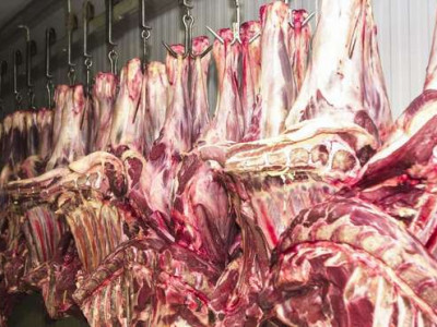 China volta a importar carne bovina do Brasil e preços devem subir em MS