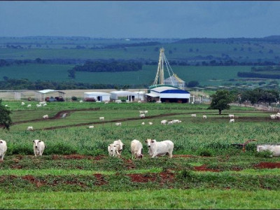 Alta de 20% no custo da produção deve impactar preço de alimentos  Alta de 20% no custo da produção deve impactar preço de alimentos